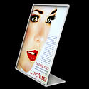 8w x 10h - Panel - Changeable Sign Holder: Angled/1 Ad